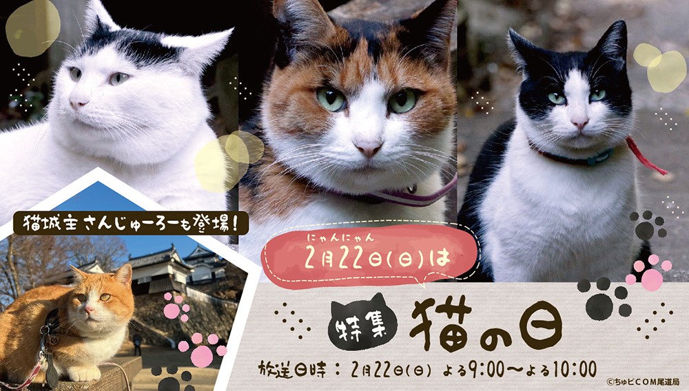 【特集】猫の日