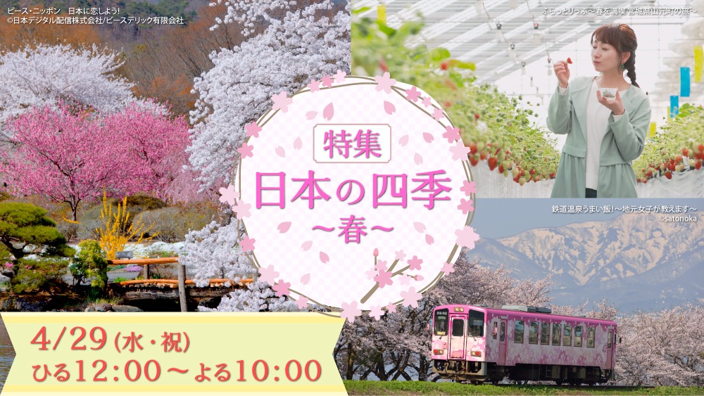 【特集】日本の四季 ～春～