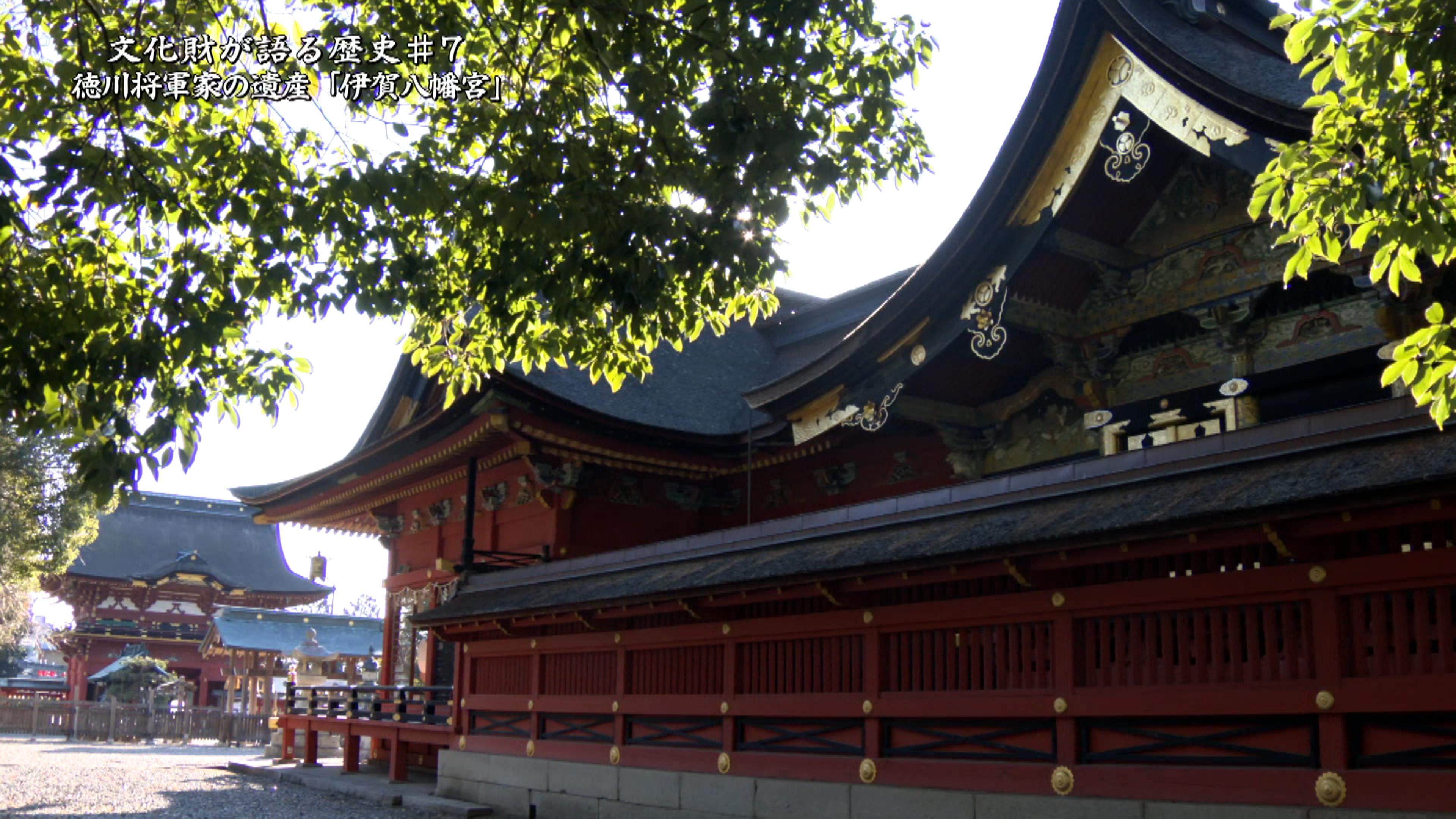 岡崎ふるさと巡り 文化財が語る歴史 真福寺『仏頭』から見える